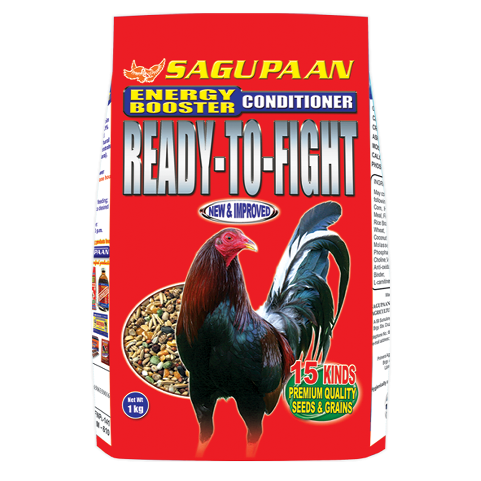 Ready to Fight