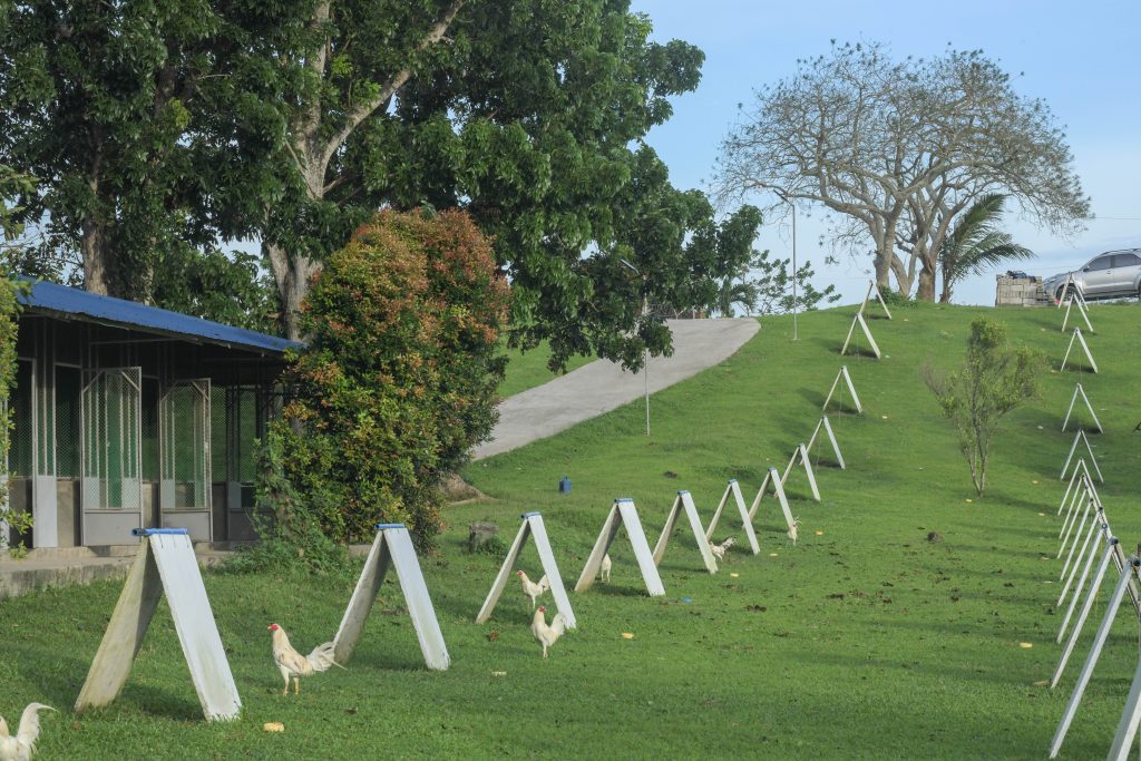 Sagupaan Farm